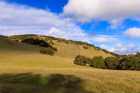 Foto de Verde colinas cubiertas de hierba en el norte de California paisaje con cielo azul y nubes. Foto de alta calidad - Imagen libre de derechos