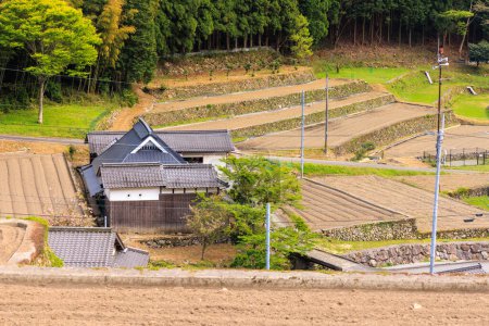 Téléchargez les photos : Maison traditionnelle japonaise en bois par des rizières en terrasses labourées. Photo de haute qualité - en image libre de droit