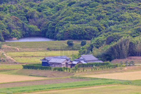 Foto de Casa rural con rotura de viento de árboles por campos y embalse en Japón paisaje. Foto de alta calidad - Imagen libre de derechos