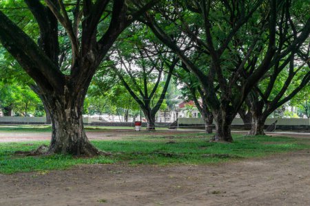 Téléchargez les photos : Banda Aceh, Indonésie - 22 Sep 2023 : paysage du parc de la ville de Blang Padang le matin. parc municipal vert au jour du printemps - en image libre de droit