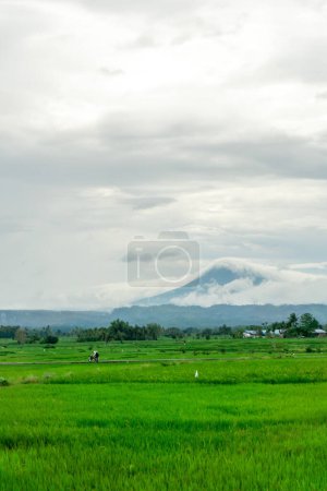 Schöne Landschaft Blick auf grüne Reisfelder mit einem Berg im Hintergrund. Blick auf die Seulawah-Berge in Aceh Besar, Indonesien.