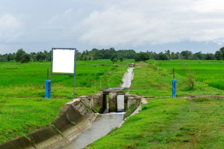 Water flow system to irrigate the paddy fields. Blank information sign board at the paddy rice field. rice field irrigation
