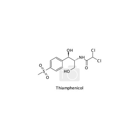 Illustration for Thiamphenicol flat skeletal molecular structure Amphenicol antibiotic drug used in bacterial infection treatment. Vector illustration. - Royalty Free Image