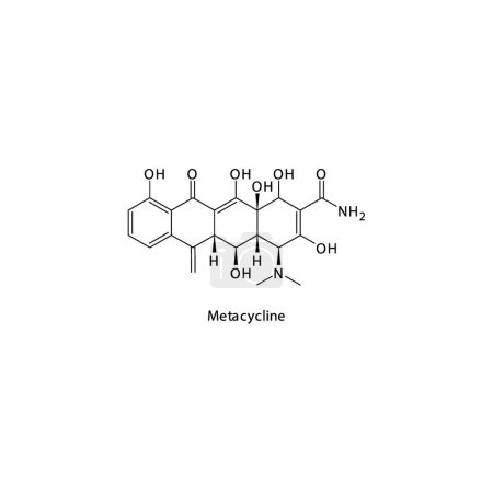 Illustration for Metacycline flat skeletal molecular structure Tetracycline antibiotic drug used in bacterial infection treatment. Vector illustration. - Royalty Free Image
