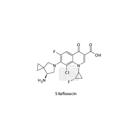 Illustration for Sitafloxacin flat skeletal molecular structure 4th generation Fluoroquinolone antibiotic drug used in bacterial infection treatment. Vector illustration. - Royalty Free Image
