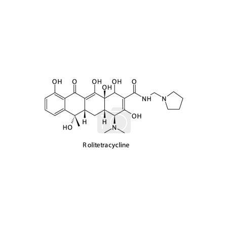 Illustration for Rolitetracycline flat skeletal molecular structure Tetracycline antibiotic drug used in bacterial infection treatment. Vector illustration. - Royalty Free Image