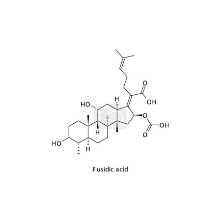 Illustration for Fusidic acid flat skeletal molecular structure Steroid antibiotc drug used in bacterial infection treatment. Vector illustration. - Royalty Free Image