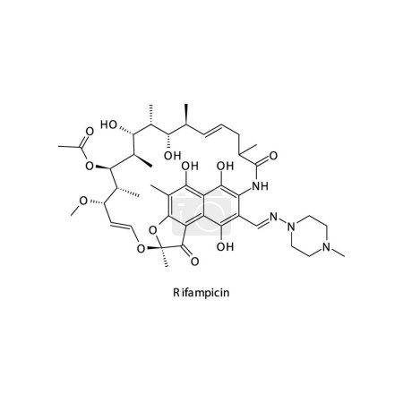 Illustration for Rifampicin flat skeletal molecular structure Rifamycin antibiotic drug used in bacterial infection treatment. Vector illustration. - Royalty Free Image