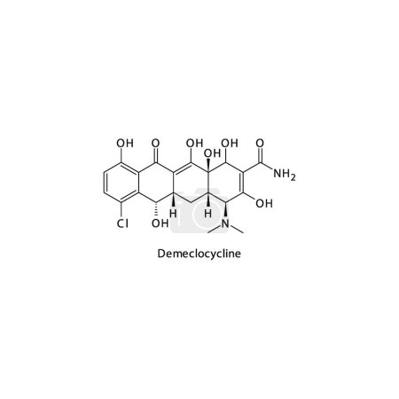 Illustration for Demeclocycline flat skeletal molecular structure Tetracycline antibiotic drug used in bacterial infection treatment. Vector illustration. - Royalty Free Image