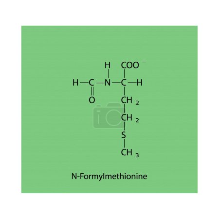 Téléchargez les illustrations : N-Formylméthionine squelettique forumal. Diagramme de structure dérivée des acides aminés sur fond vert. - en licence libre de droit