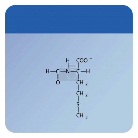 Téléchargez les illustrations : N-Formylméthionine squelettique forumal. Diagramme de structure dérivée des acides aminés sur fond bleu. - en licence libre de droit