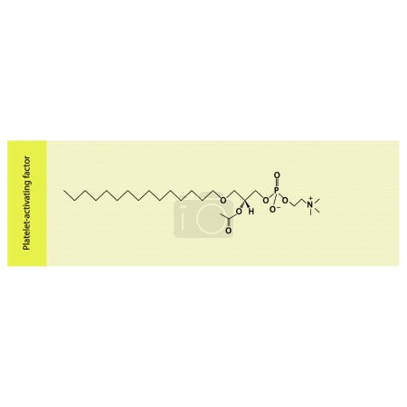 Illustration for Structure of PAF (Platelet activating factor) biomolecule, skeletal structure diagram on on pink background. Scientific diagram vector illustration. - Royalty Free Image