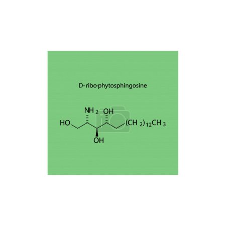 Téléchargez les illustrations : Schéma de structure moléculaire de la D-ribo-phytosphingosine - une base sphingoïde. vert Illustration vectorielle scientifique. - en licence libre de droit