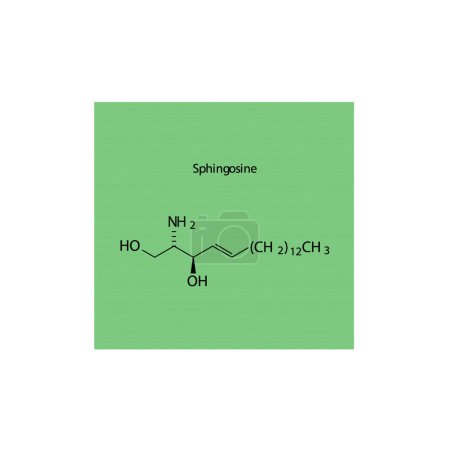 Téléchargez les illustrations : Schéma de structure moléculaire de la sphingosine - une base sphingoïde. vert Illustration vectorielle scientifique. - en licence libre de droit