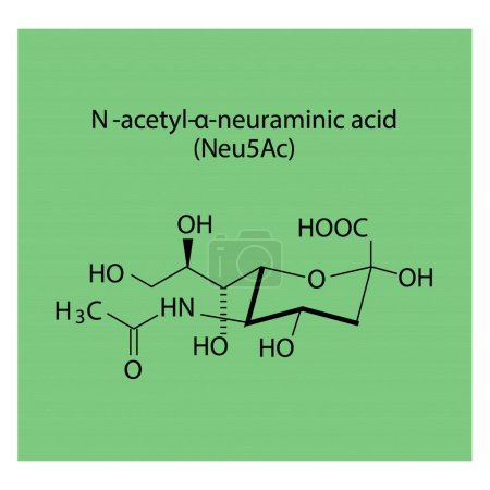 Ilustración de Diagrama de estructura molecular del ácido N-acetil-neuramínico (Neu5Ac), un ácido siálico. ilustración vector científico amarillo. - Imagen libre de derechos