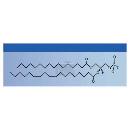 Illustration for Diagram showing schematic molecular structure of Phosphatidic acid Blue Scientific vector illustration. - Royalty Free Image