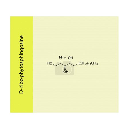 Téléchargez les illustrations : Schéma de structure moléculaire de la D-ribo-phytosphingosine - une base sphingoïde. jaune Illustration vectorielle scientifique. - en licence libre de droit