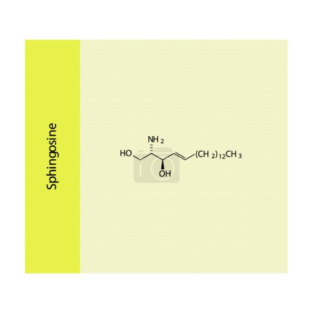 Téléchargez les illustrations : Schéma de structure moléculaire de la sphingosine - une base sphingoïde. jaune Illustration vectorielle scientifique. - en licence libre de droit