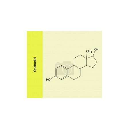 Oestradiol skeletal structure diagram.Isoflavanone compound molecule scientific illustration on yellow background.