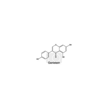 Genistein skeletal structure diagram.Isoflavanone compound molecule scientific illustration on white background.