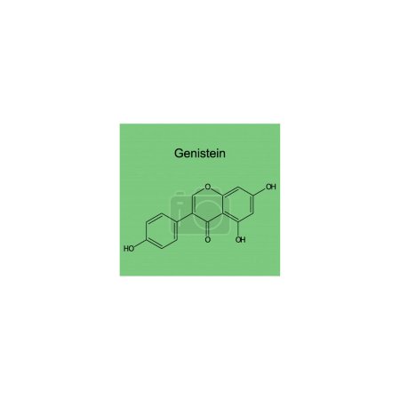 Genistein skeletal structure diagram.Isoflavanone compound molecule scientific illustration on green background.
