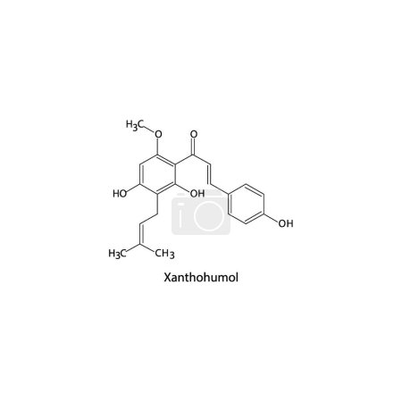 Ilustración de Xanthohumol skeletal structure diagram.prenylated flavonoid compound molecule scientific illustration on white background. - Imagen libre de derechos