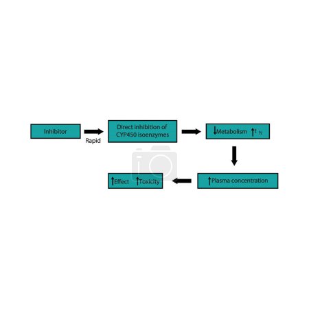 Diagramm des Stoffwechselprozesses von Medikamenten - Wirkung auf die Synthese von CYP450-Enzymen, Stoffwechsel von Medikamenten, Halbwertszeit, Plasmakonzentration und pharmakologische Wirkung. Einfache Darstellung des Flussdiagramms.