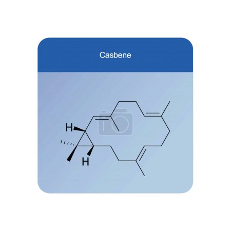 Diagrama de estructura esquelética de Casbene. Molécula compuesta de esquiterpeno ilustración científica sobre fondo azul.