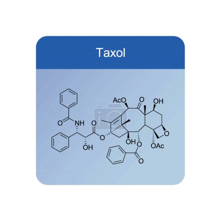 Taxol-Skelettstrukturdiagramm. Diterpenoid-Molekül wissenschaftliche Illustration auf blauem Hintergrund.