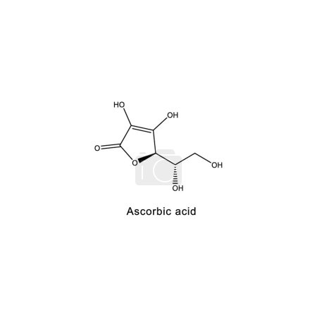 Ascorbinsäure-Skelettstrukturdiagramm. Vitamin-C-derivative Verbindung Molekül wissenschaftliche Illustration auf weißem Hintergrund.