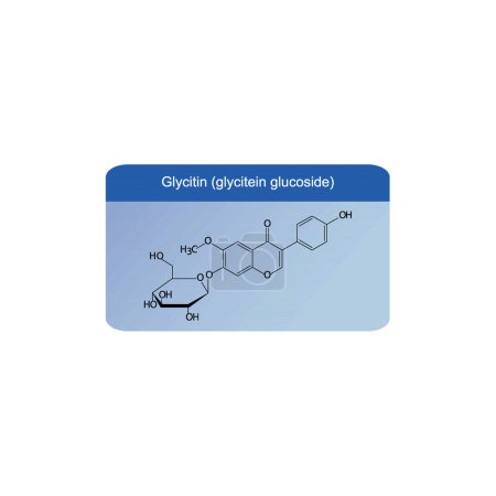 Schéma de structure squelettique de glycitine (glucoside de glycitéine) .Illustration scientifique de molécule de composé d'isoflavanone sur fond bleu.