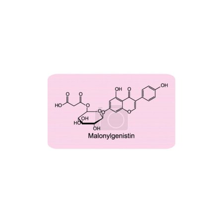 Illustration for Malonyldaidzin skeletal structure diagram.Isoflavanone compound molecule scientific illustration on pink background. - Royalty Free Image