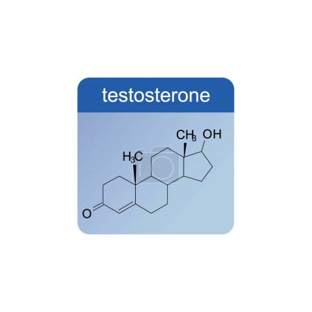 Téléchargez les illustrations : Schéma de structure squelettique de la testostérone Illustration scientifique de molécule de composé hormonal teroïde sur fond bleu. - en licence libre de droit