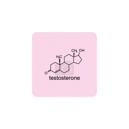 testosterone skeletal structure diagram.Steroid hormone compound molecule scientific illustration on pink background.