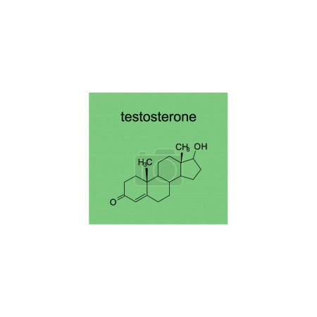 Schéma de structure squelettique de la testostérone Illustration scientifique de molécule de composé hormonal teroïde sur fond vert.