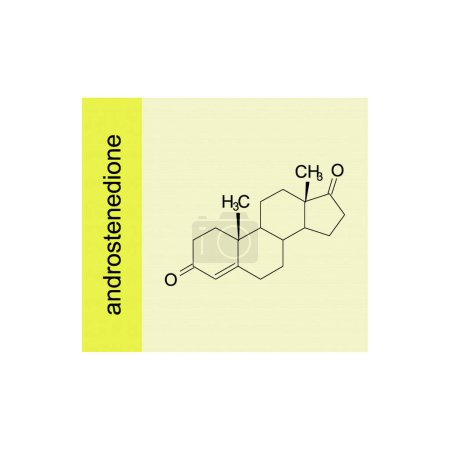 diagrama esquelético de la estructura de androstenedione. Ilustración científica de la molécula compuesta de la hormona teroide en fondo amarillo.