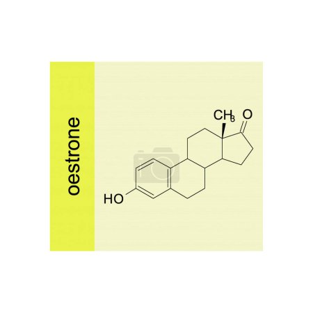 oestradiol skeletal structure diagram.Steroid hormone compound molecule scientific illustration on yellow background.