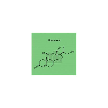 Aldosteron-Skelettstrukturdiagramm Mineraolcorticoid Hormonverbindungsmolekül wissenschaftliche Illustration auf grünem Hintergrund.