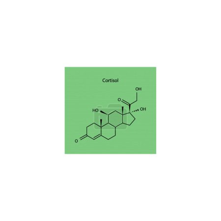 Schéma de structure squelettique du cortisol Illustration scientifique de molécule de composé hormonal minéraolcorticoïde sur fond vert.