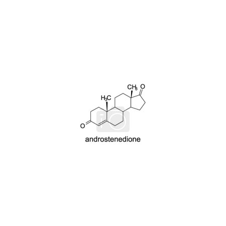 diagrama esquelético de la estructura de androstenedione. Ilustración científica de la molécula compuesta de la hormona teroide en fondo blanco.
