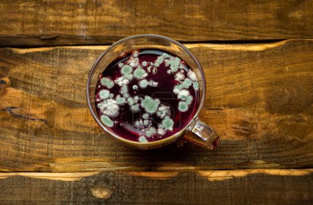 Foto de Vista superior del té rojo en una taza con moho, hongo en la bebida, moho en una taza con una bebida en una mesa de madera marrón. Té estropeado - Imagen libre de derechos