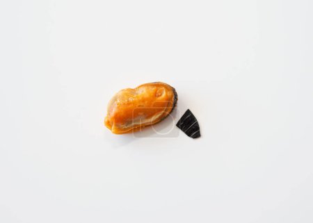 Foto de A fragment of a mussel shell on a white background, a peeled mussel top view with a piece of spicy shell. - Imagen libre de derechos