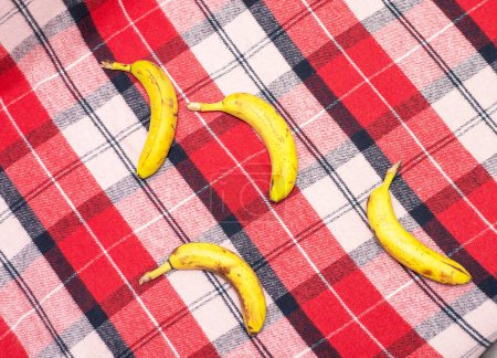 Bananas on the sofa on a checkered blanket. Fresh ripe bananas in the apartment