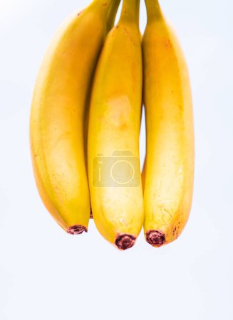 Un gros plan sur les bananes. Bananes mûres suspendues