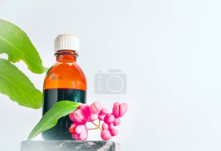 Close-up, Medical medicine in a jar of tincture herbs. Euonymus warty, homeopathic berry useful, poisonous plant with red berries. Decorative medical tree
