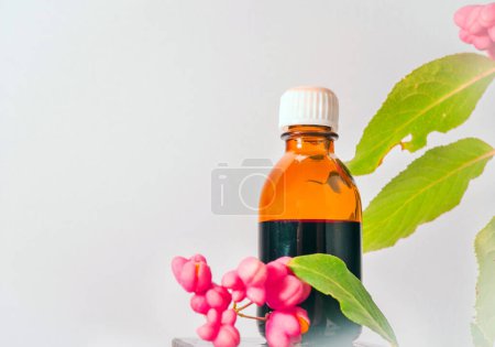 Primer plano, medicina médica en un frasco de hierbas. Euonymus verruga, bayas homeopáticas útil, planta venenosa con bayas rojas. Árbol médico decorativo