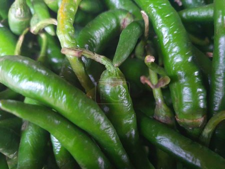 Foto de Montón de jalapeño verde chile cayena en el mercado tradicional. Foto de fondo natural para cualquier propósito de diseño relacionado. - Imagen libre de derechos