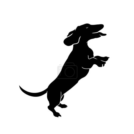Silhouette of an active dog pet animal 