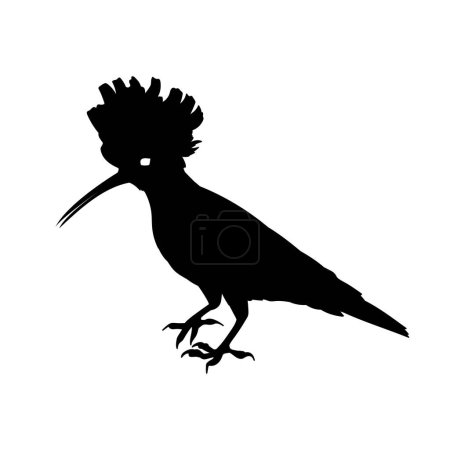 Ilustración de Silueta de un pájaro abubilla - Imagen libre de derechos