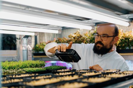 Téléchargez les photos : Fermier vérifie microgreens pousses étagères de ferme verticale éco-alimentaire verdure alimentation saine - en image libre de droit